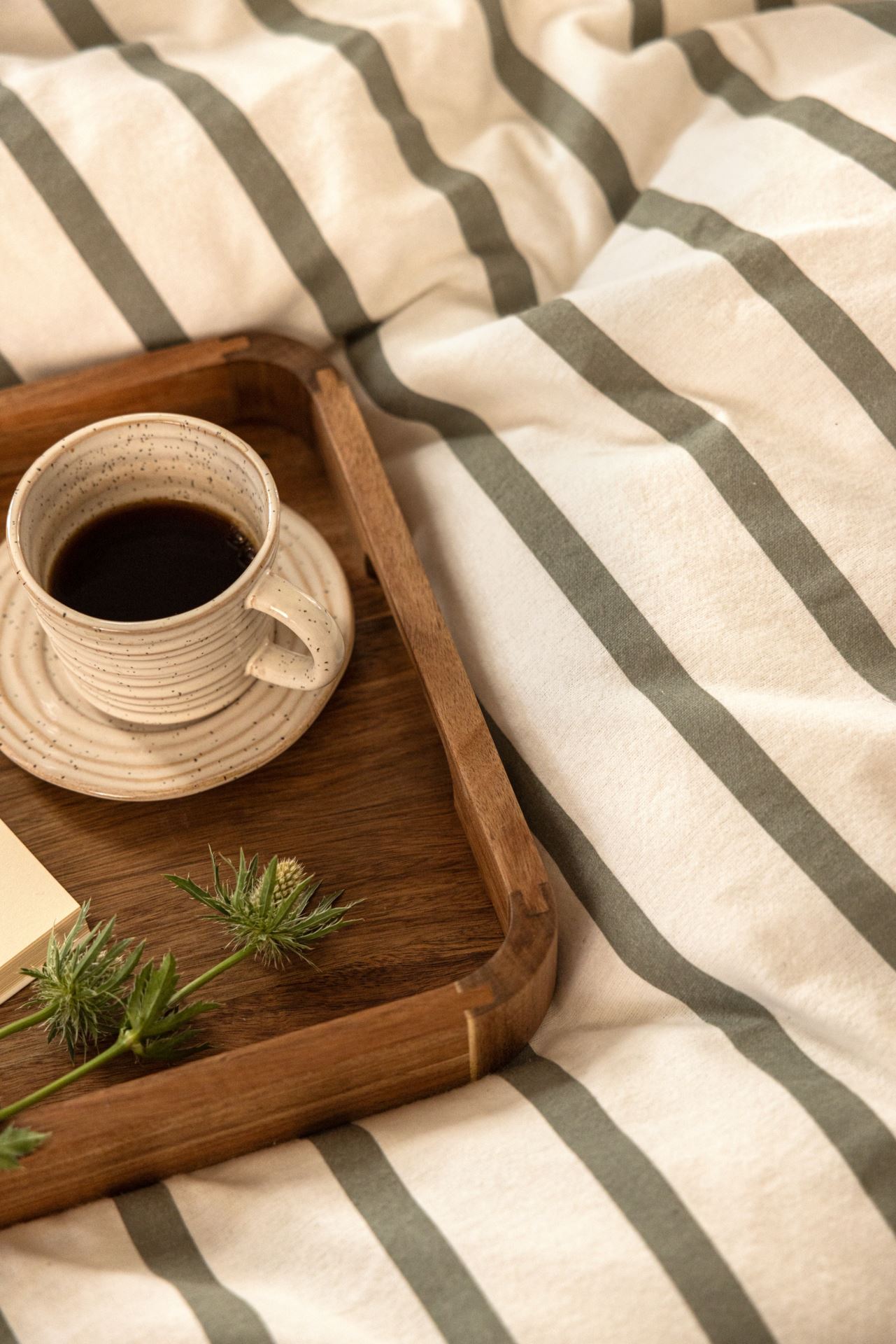 Kuppi aluslautasella vaalean beige - 3