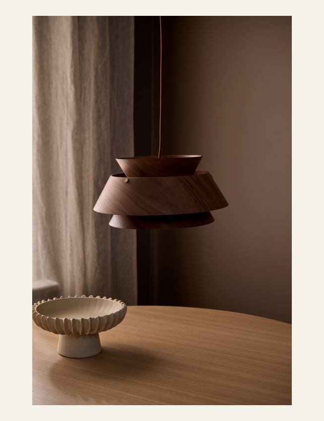 Kattovalaisin ruskea - 2