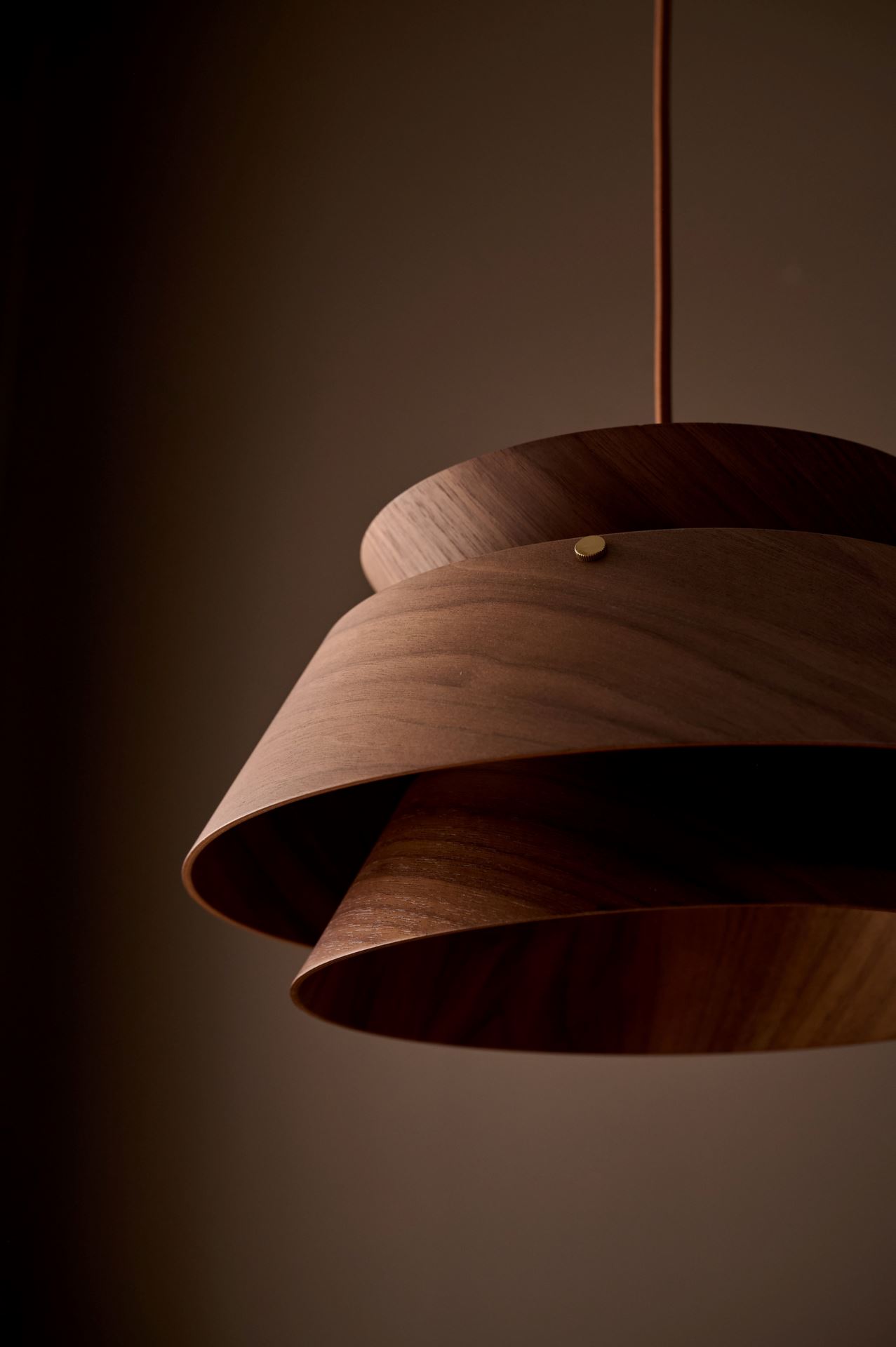 Kattovalaisin ruskea - 3