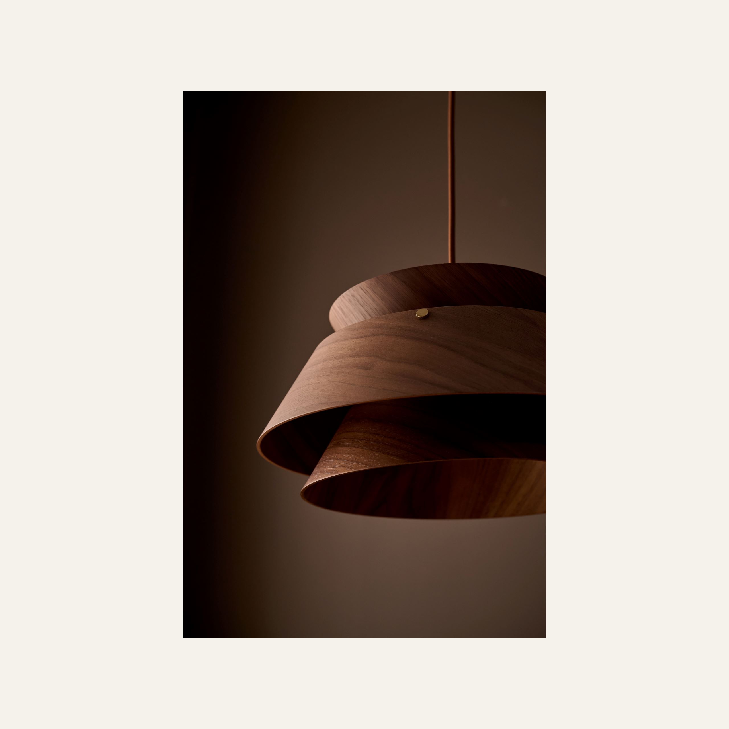 Kattovalaisin ruskea - 3