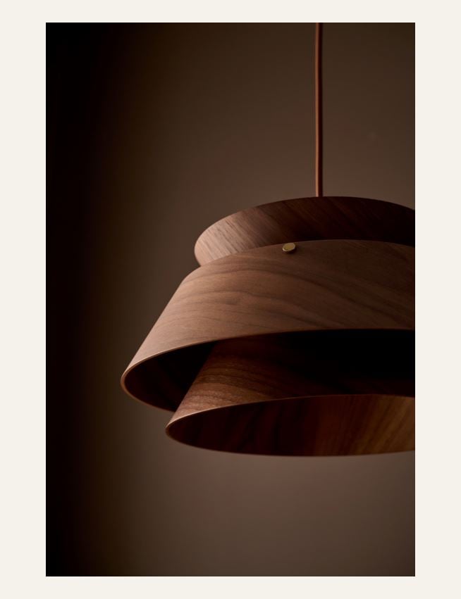 Kattovalaisin ruskea - 3