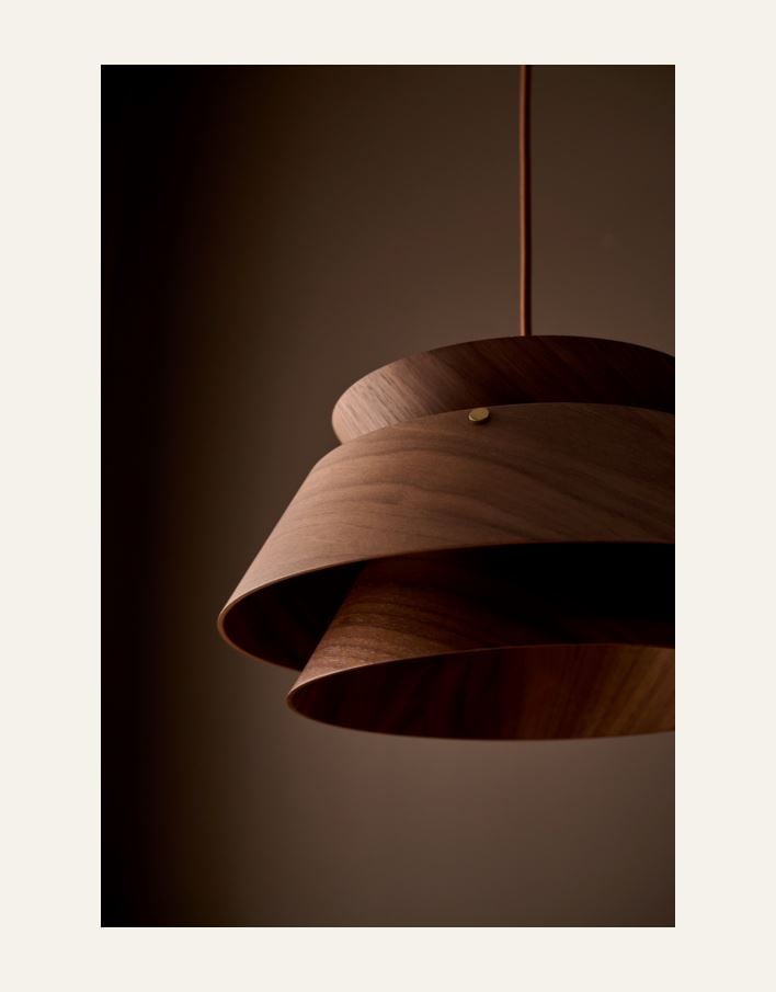 Kattovalaisin ruskea - 3