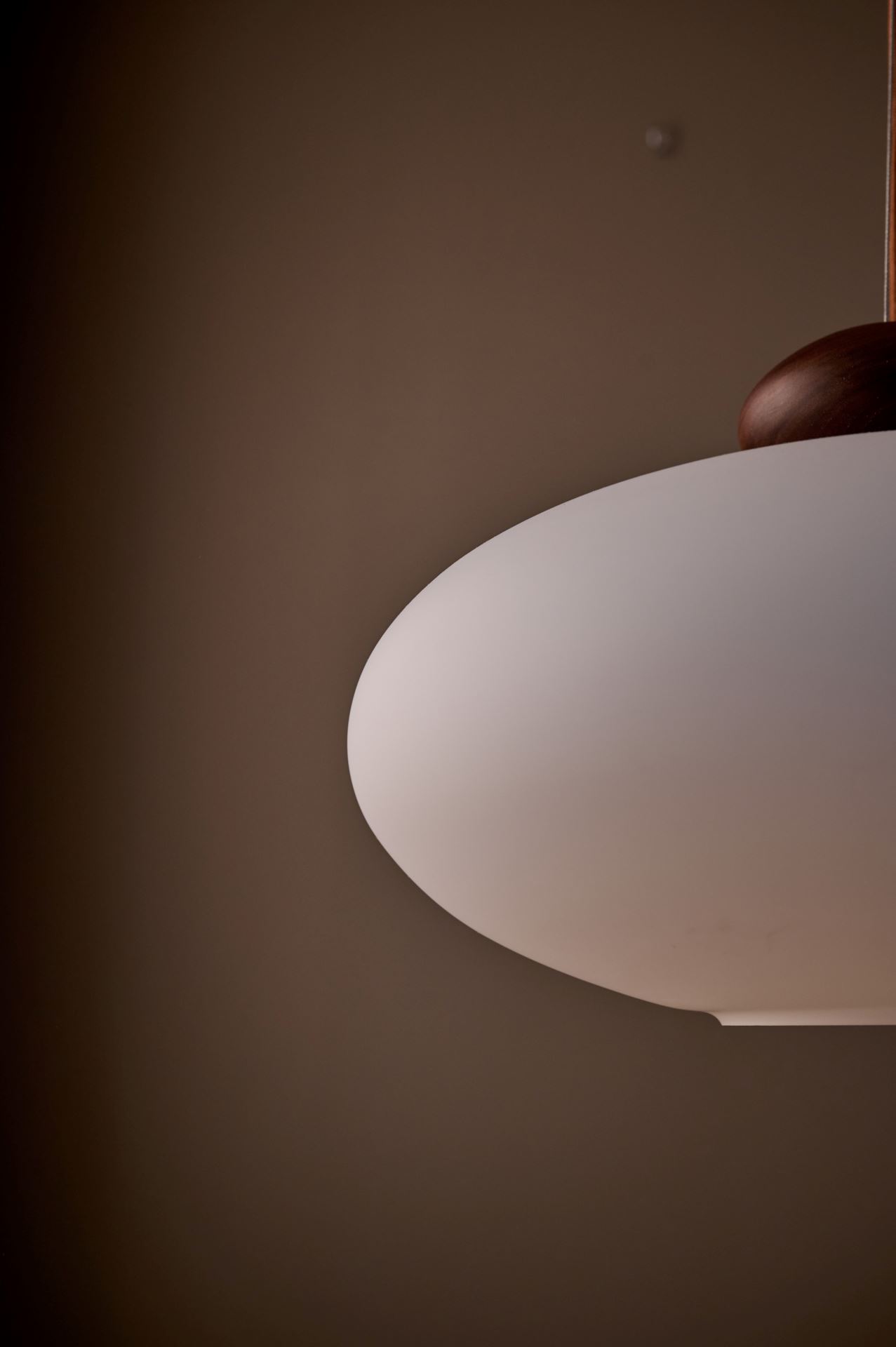 Kattovalaisin ruskea - 4