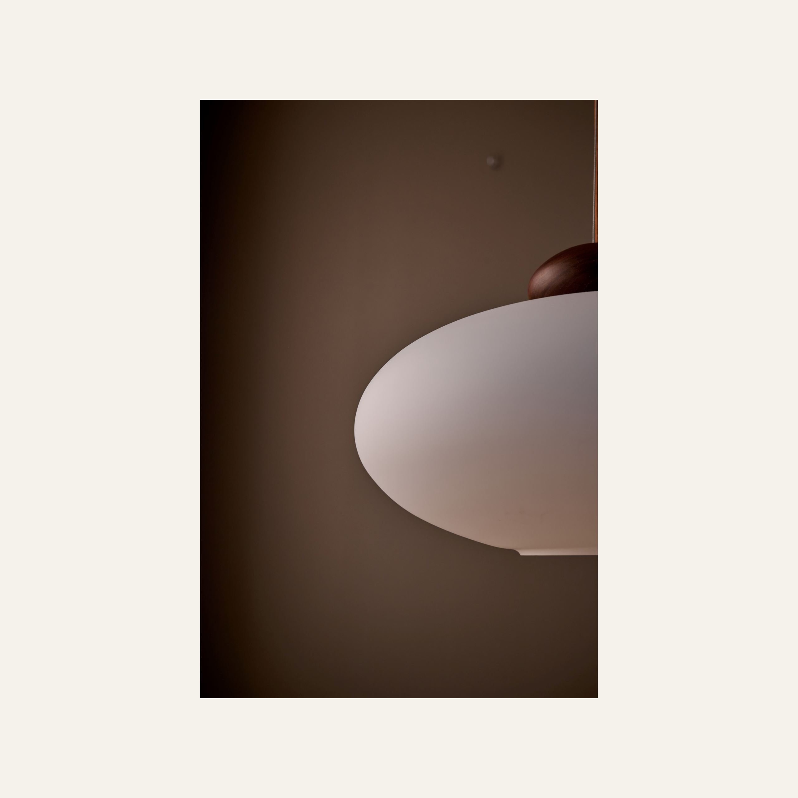 Kattovalaisin ruskea - 4