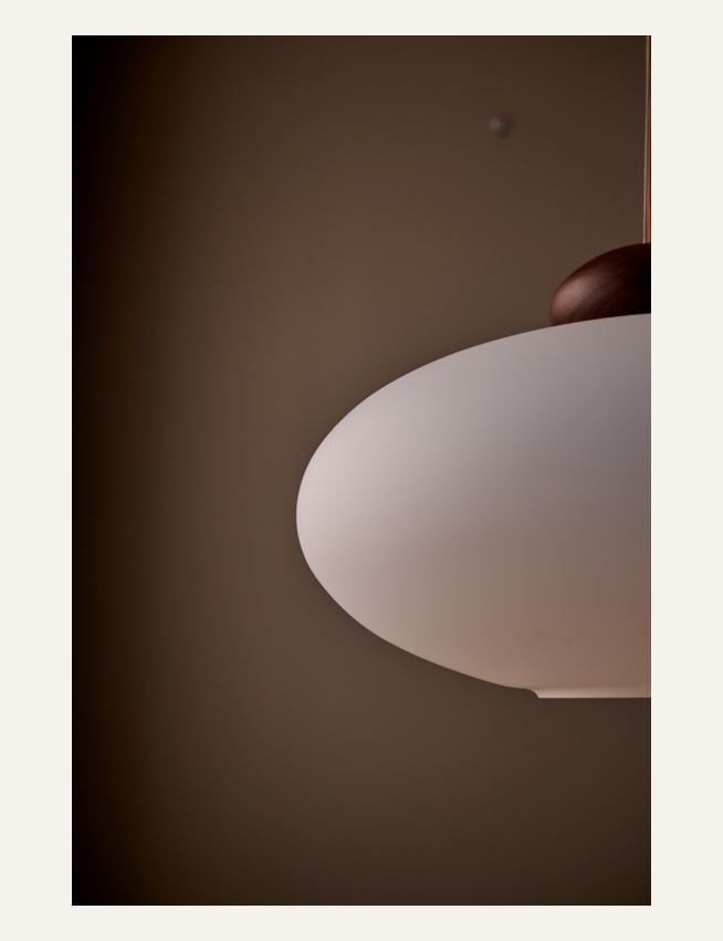 Kattovalaisin ruskea - 4