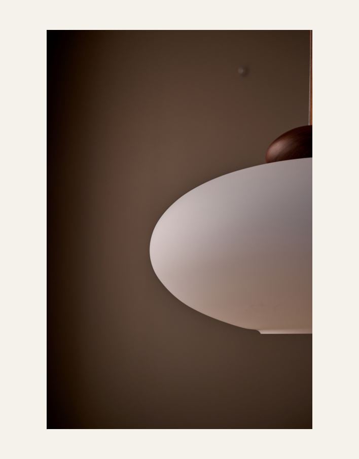 Kattovalaisin ruskea - 4