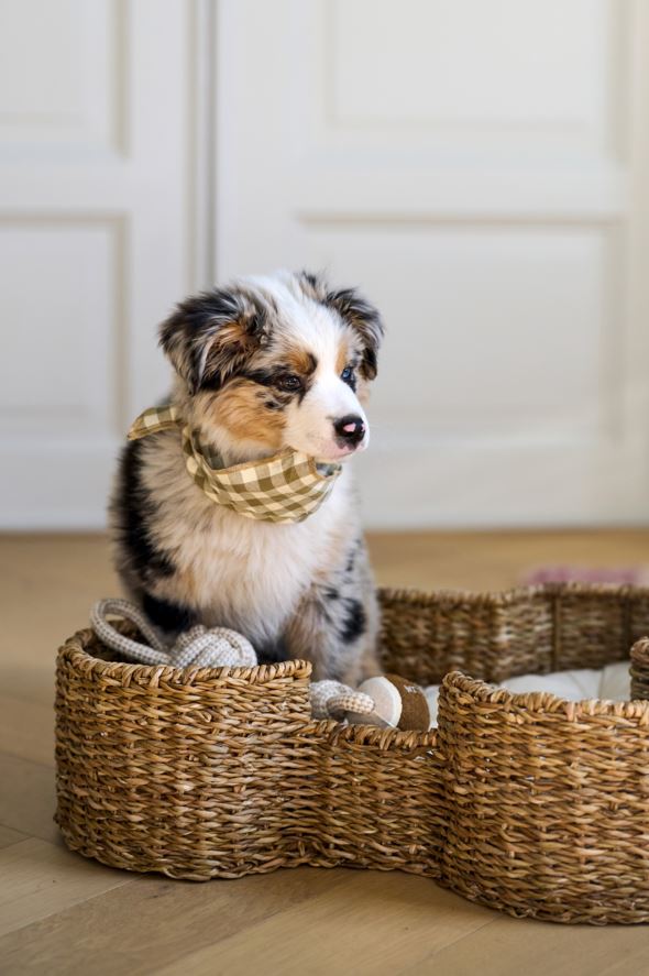 Koiran peti luonnonväri - 6