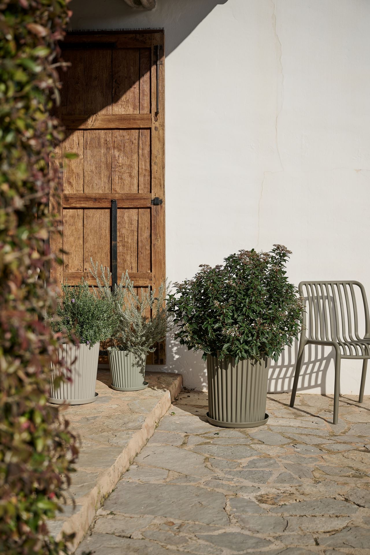 Ulkoruukku harmaanruskea - 2