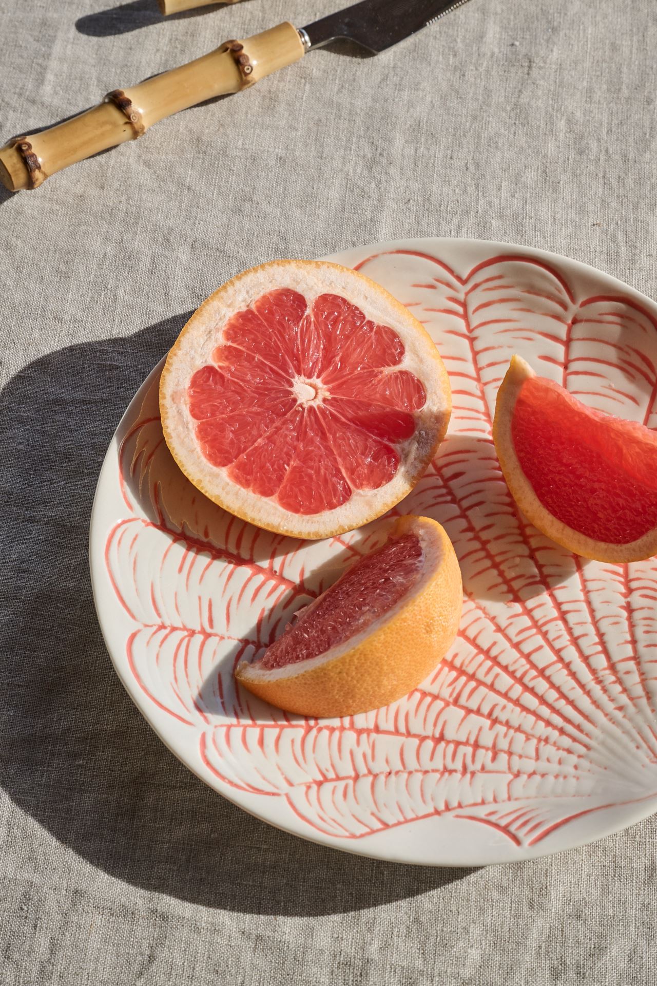 Lautanen koralli - 2