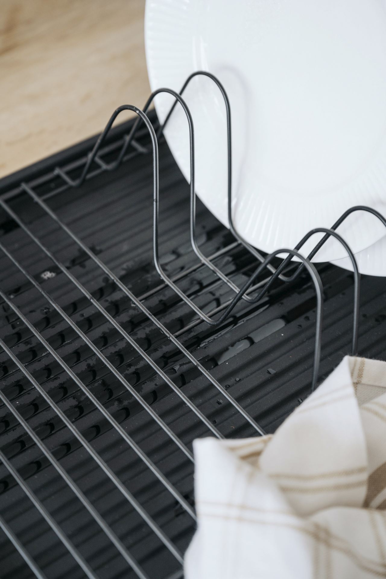 Astiateline musta - 4