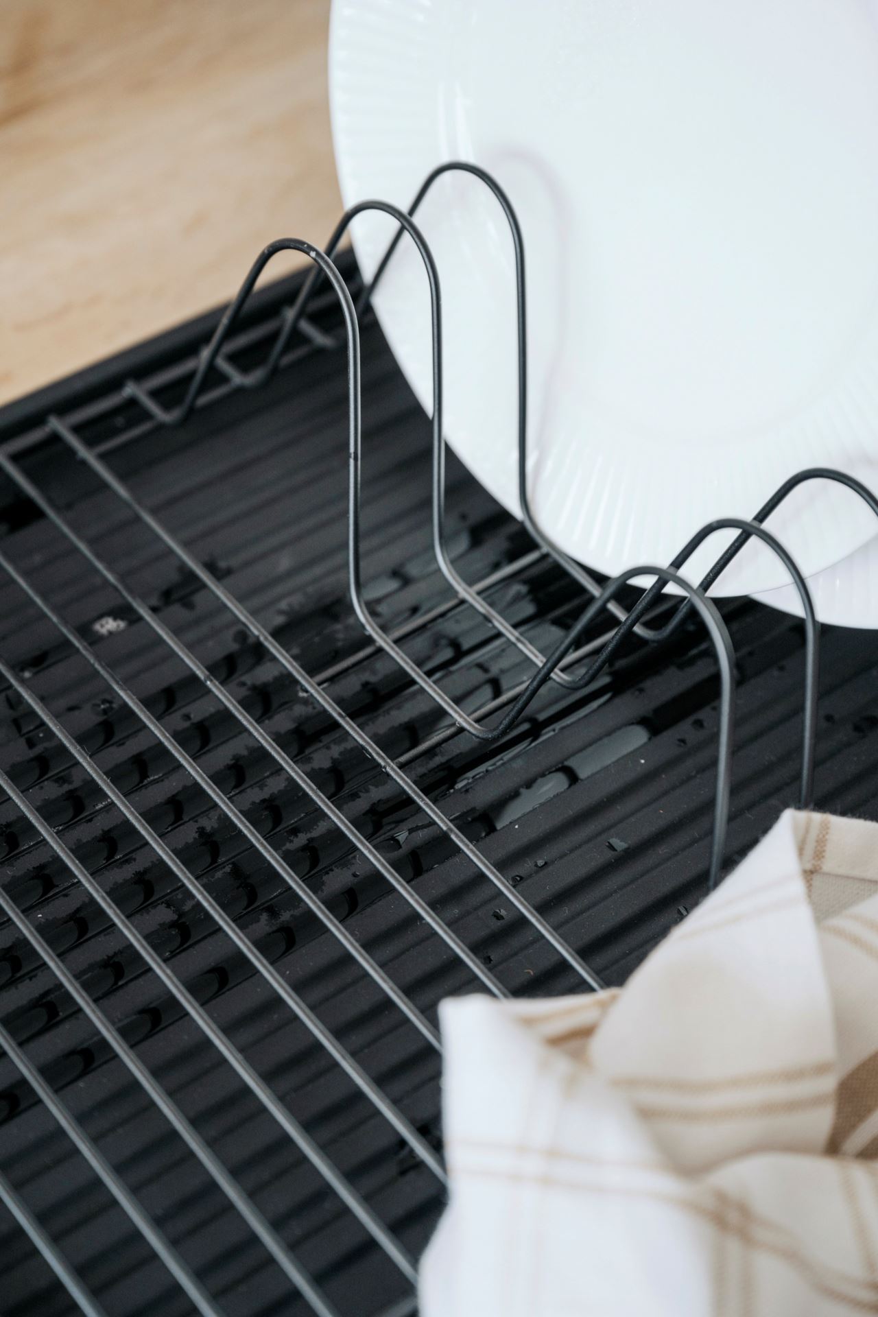 Astiateline musta - 4