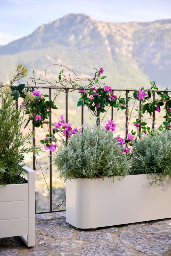 Kukkalaatikko hiekka - 2