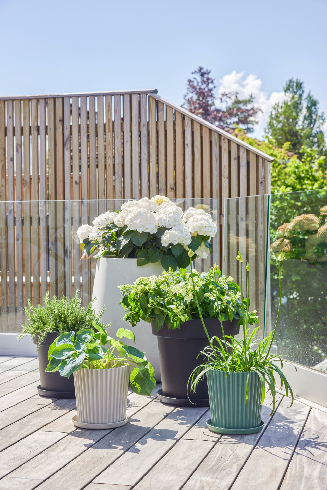 Ulkotarjotin musta - 7