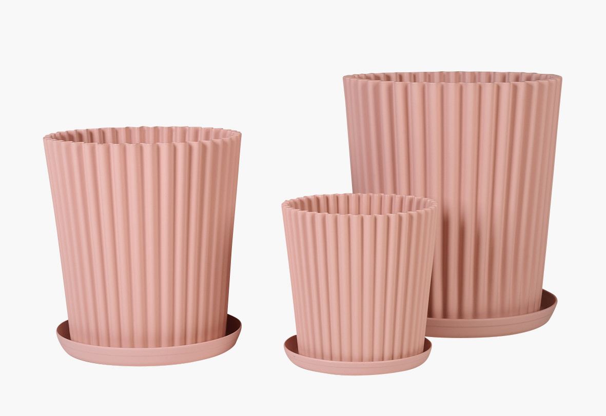 Ulkoruukku puuteriroosa - 4