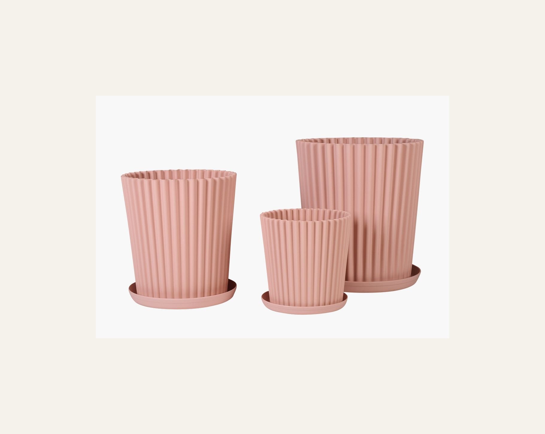 Ulkoruukku puuteriroosa - 4