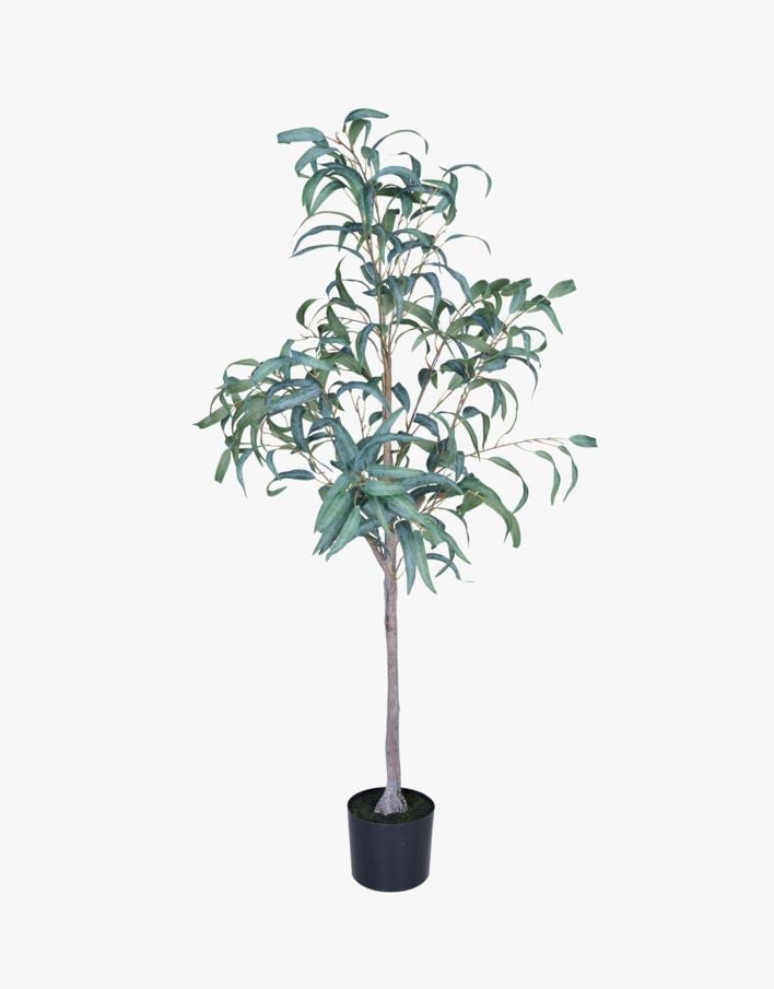 Viherkasvi vihreä - 55x50x150 cm vihreä - 1