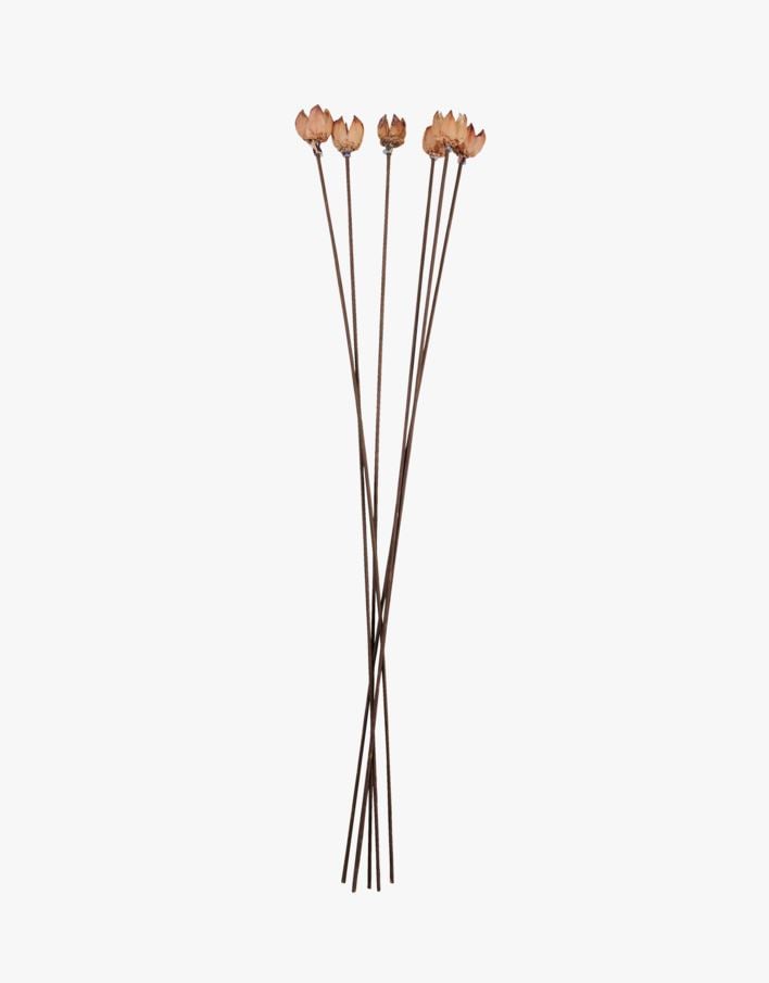 Kuivakukat luonnonväri - 60 cm luonnonväri - 1