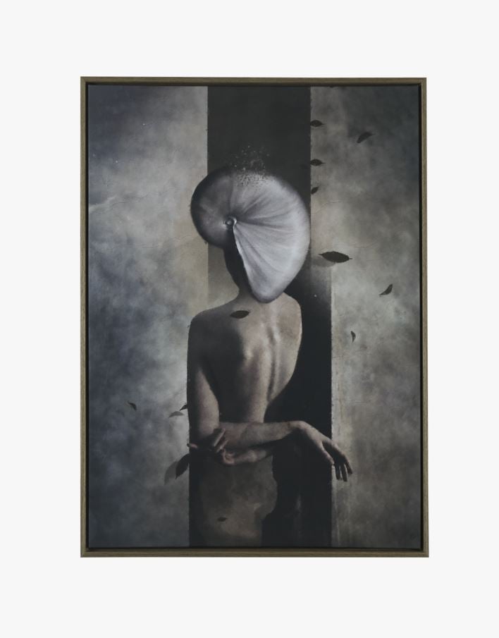 Taulu ruskea - 50x70 cm ruskea - 1