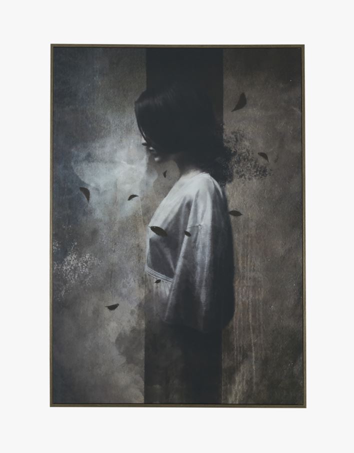 Taulu ruskea - 50x70 cm ruskea - 1