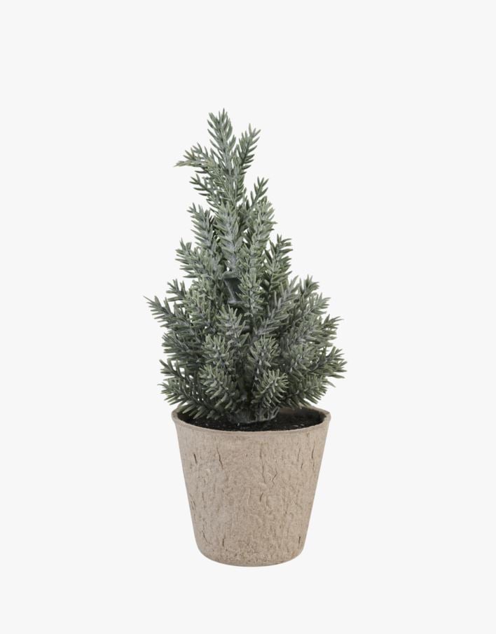 Joulukuusi meriheinää - 6,5x6,5x17 cm meriheinää - 1