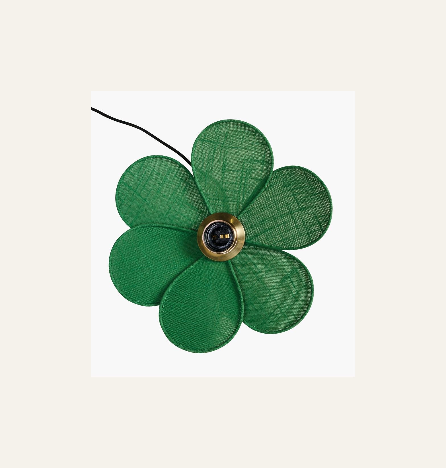 Kattovalaisin vihreä - 3