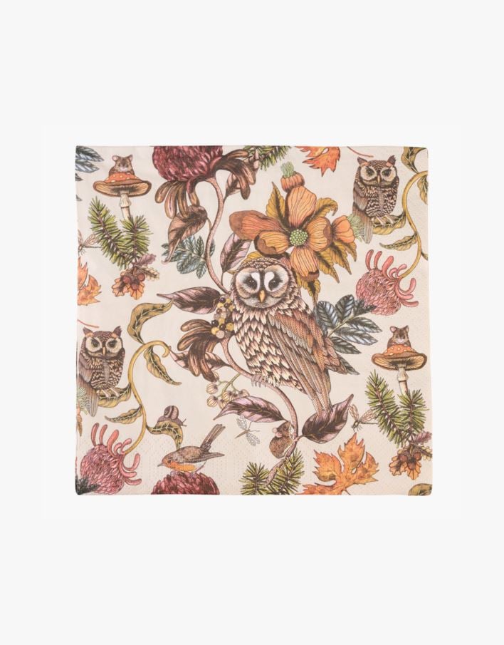 Ruokaservetit moniväri/punainen - 40x40 cm moniväri/punainen - 1