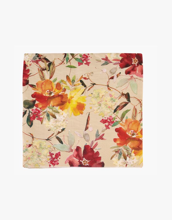 Ruokaservetit moniväri - 40x40 cm moniväri - 1